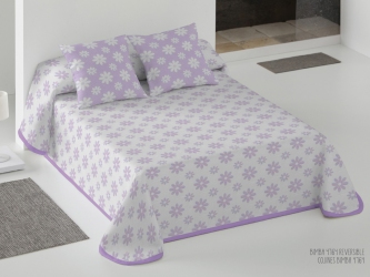 Imagen-19